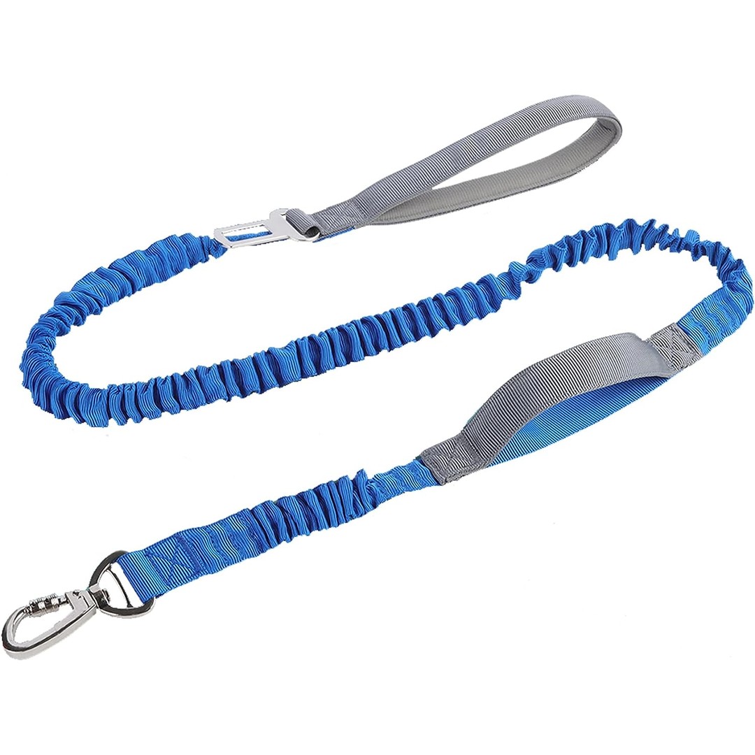 2 in 1 Dog Bungee Leash & Car Seatbelt-Blue