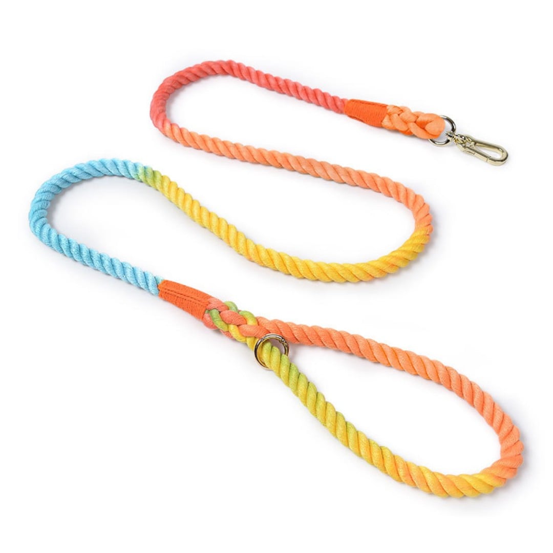 150CM Soft Braided Colourful Dog Leash-Rainbow