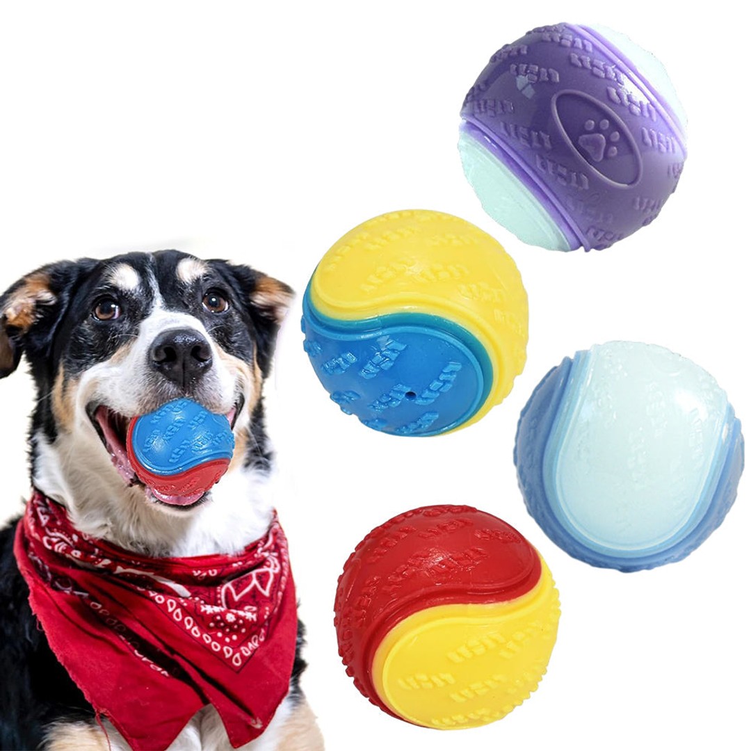 4Pcs Squeaky Dog Balls High Bouncy Ball Toys for Interactive Playing Pet Chew Balls