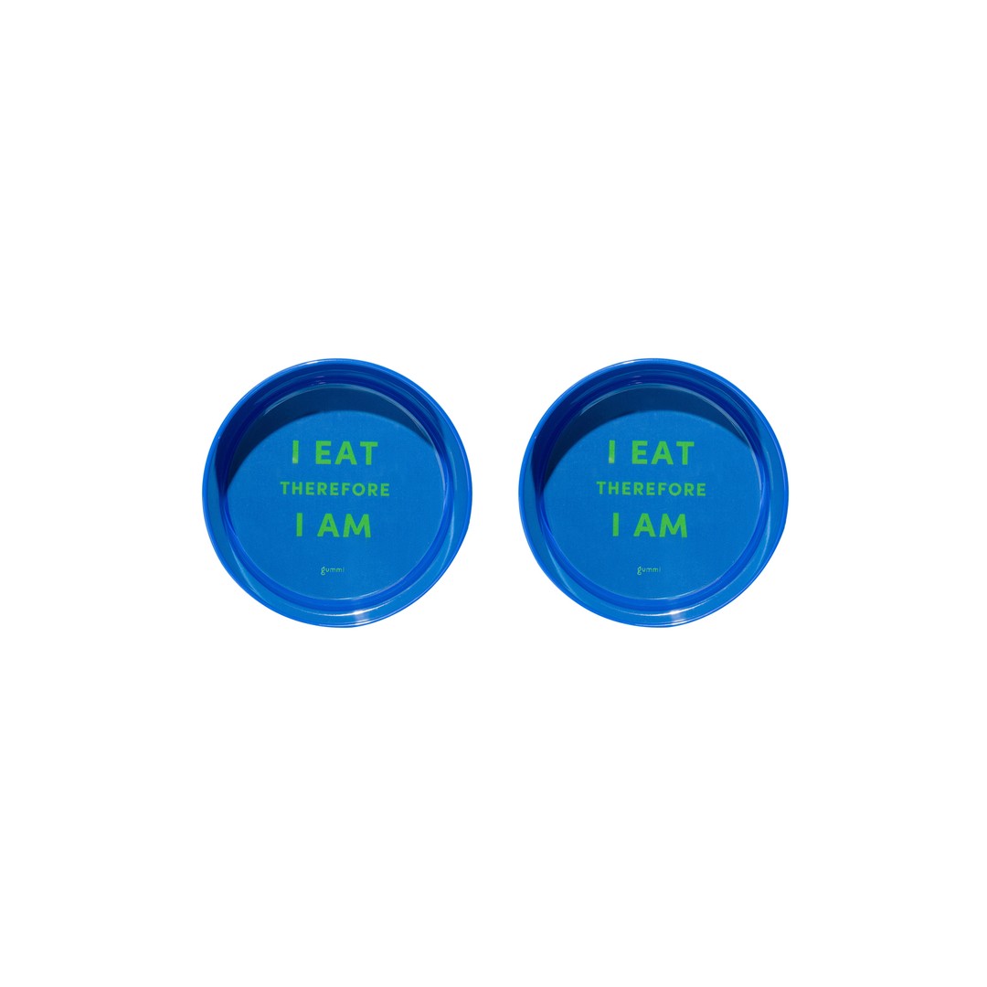 2x Gummi Melamine Dog Bowl Puppy/Cat Food/Water Pet Feed Container Medium Blue