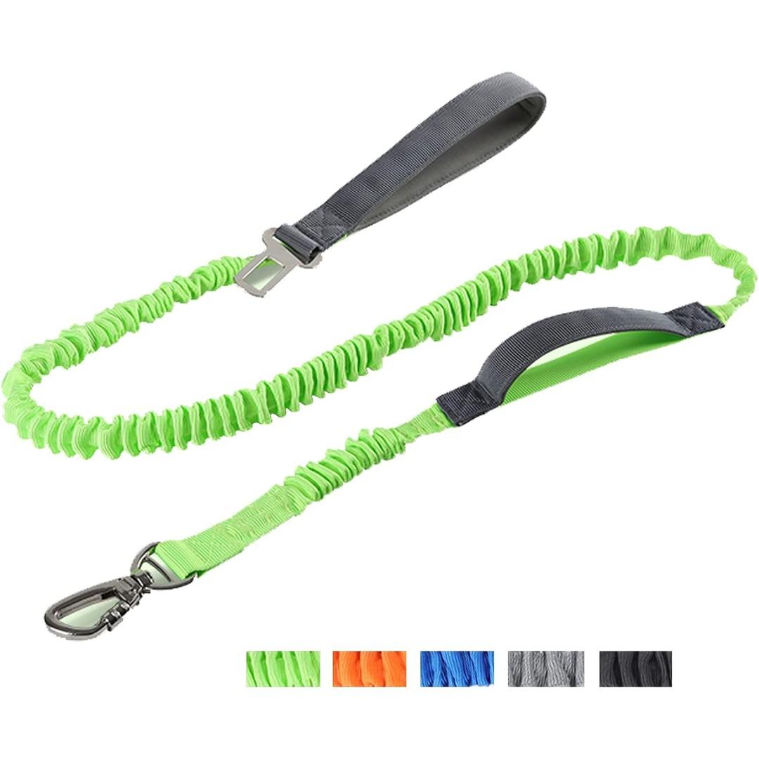 2 in 1 Dog Bungee Leash & Car Seatbelt-Green